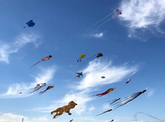 아파트 East From Paradise